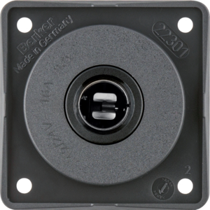 Berker pistorasia upotettava 12V antrasiitti matta 12-24V, max. 16A - Sähkörasiat, pistokkeet - 11115 - 1