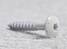 Ruuvi Torx 5,5x35, V4A - HOBBY VARAOSAT - 6298 - 1